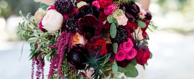 kim starr wise floral events wedding bridal bouquet wine burgundy red peach blush hot pink blue thistle amaryllis